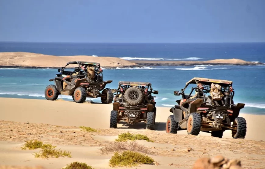 Buggy Tour South – 4h