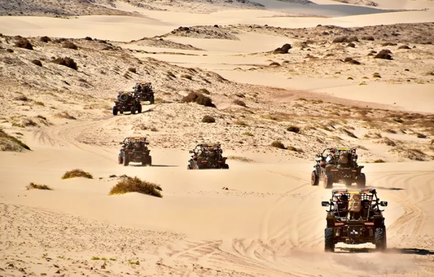 Buggy Tour South – 4h