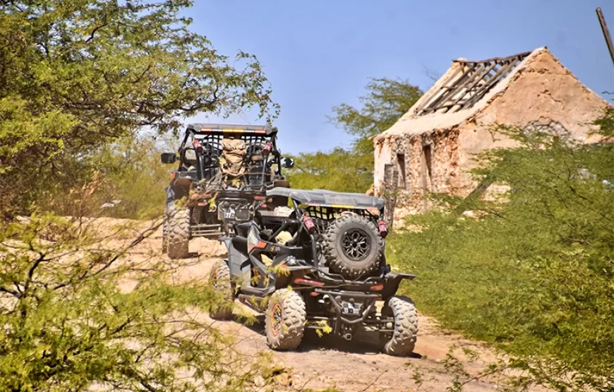 Buggy Tour South – 4h